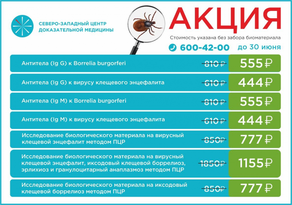 акция.jpg